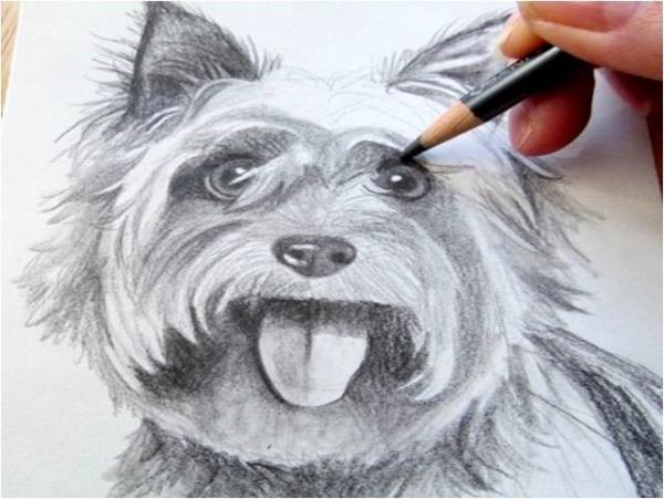 Image for event: How to Draw a Realistic Dog Portrait with Christine Thornton